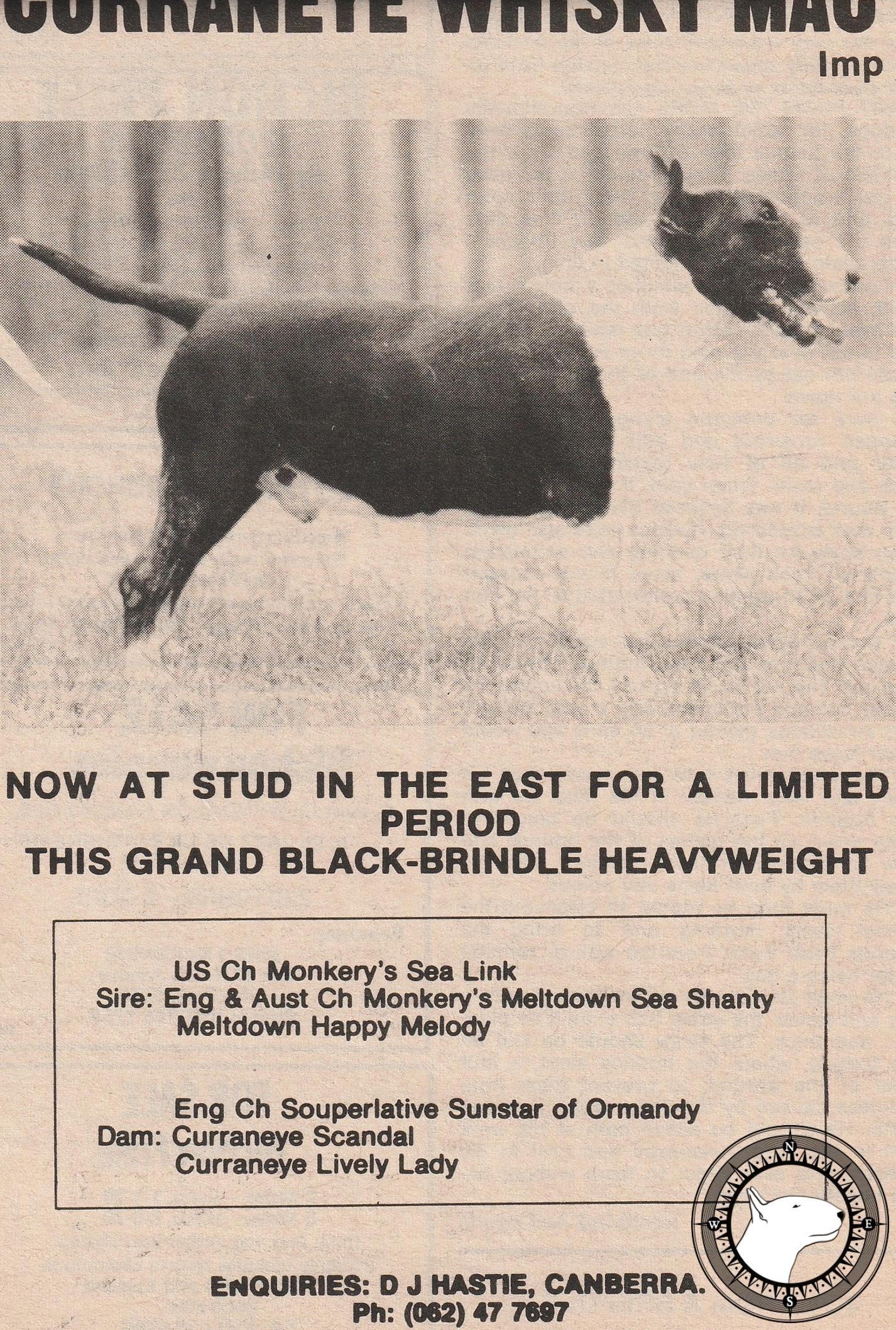 CURRANEYE WHISKY MAC